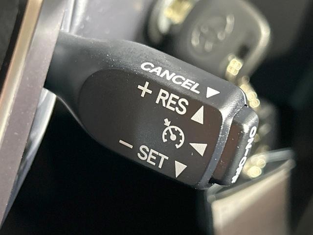 25179449_carP_l_10.jpg