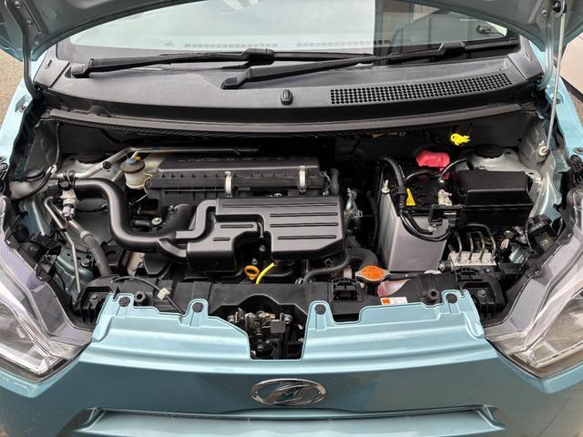 23410672_carP_l_2.jpg