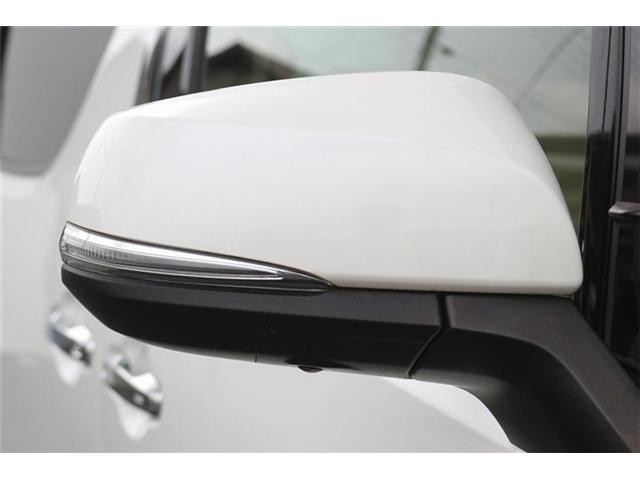 26483935_carP_l_9.jpg