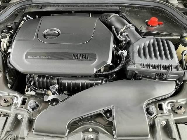 26526454_carP_l_16.jpg