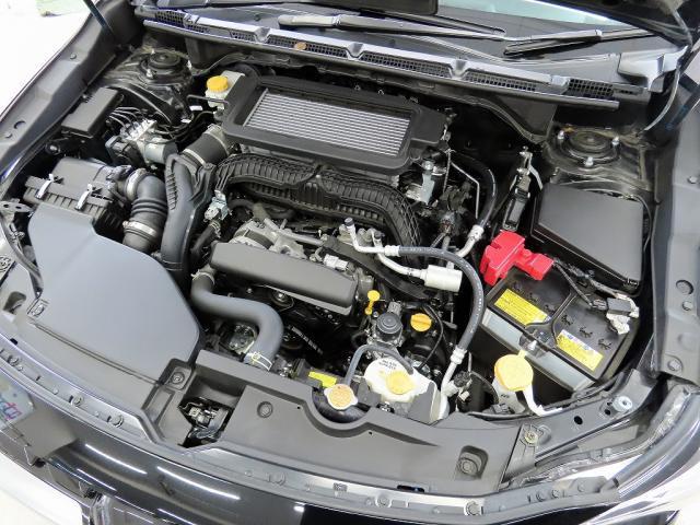24927222_carP_l_17.jpg