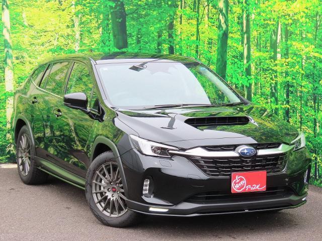 24927222_carP_l_6.jpg