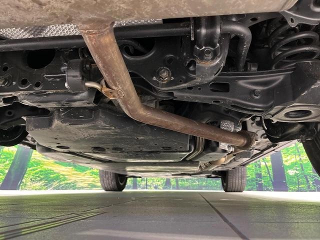 25632941_carP_l_20.jpg