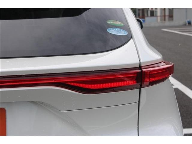 26483938_carP_l_6.jpg