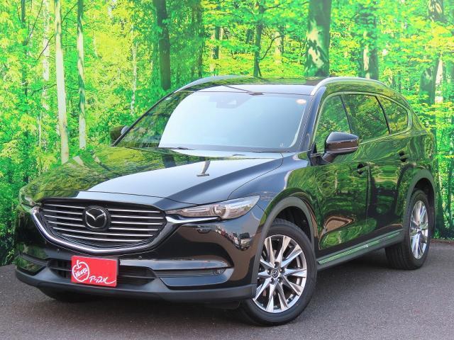 24927223_carP_l_7.jpg