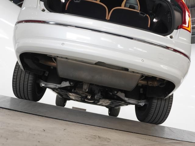 25627313_carP_l_20.jpg