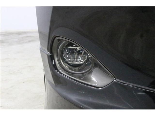 26572024_carP_l_7.jpg