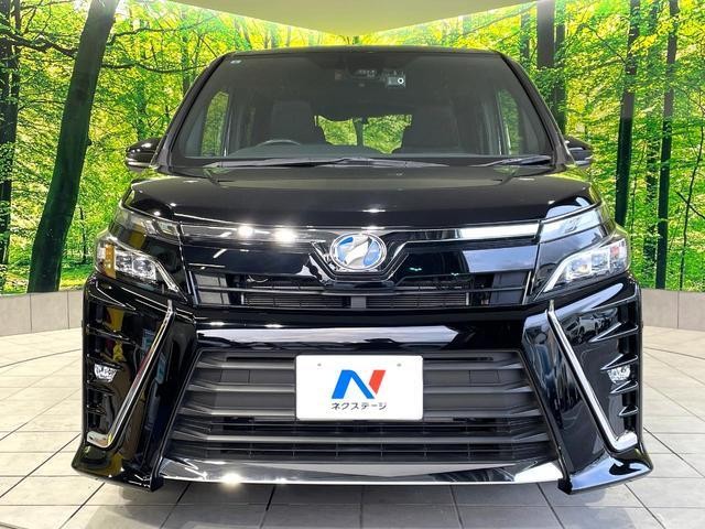 26491585_carP_l_9.jpg