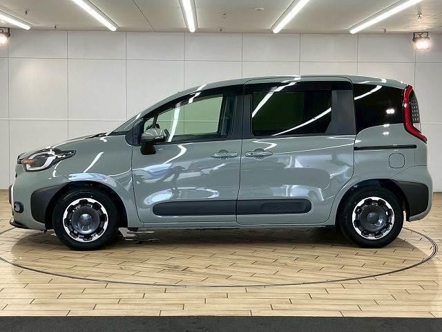 25235722_carP_l_12.jpg
