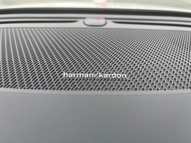 25612436_carP_l_19.jpg