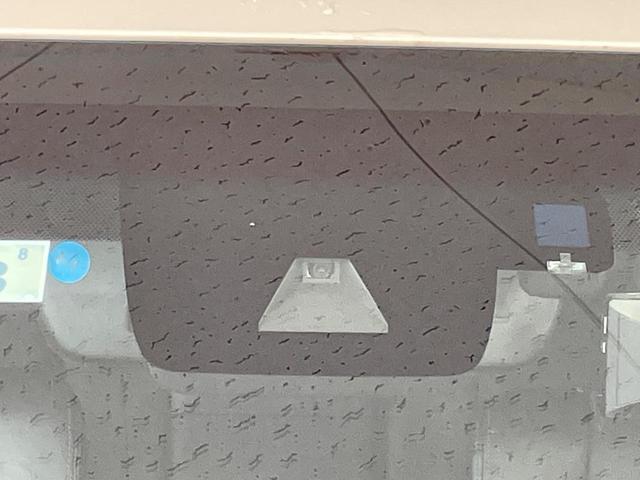 23417992_carP_l_13.jpg