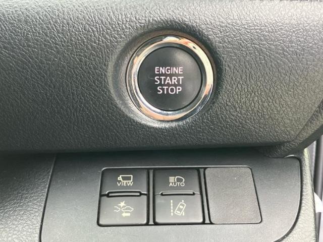 25193651_carP_l_11.jpg
