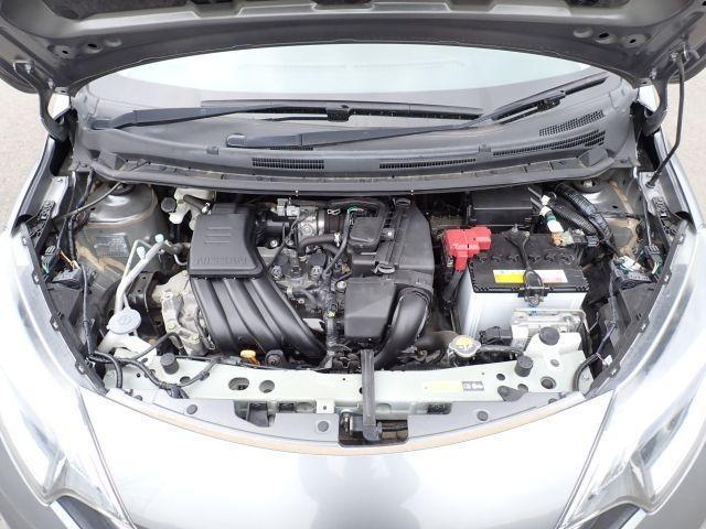 24380655_carP_l_17.jpg