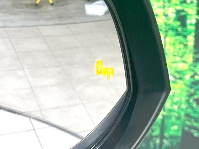 25487310_carP_l_14.jpg