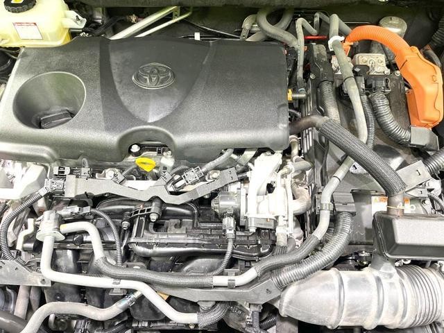 25487310_carP_l_16.jpg