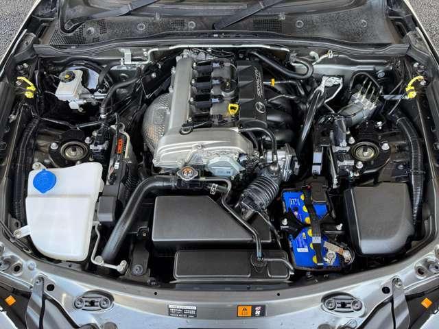 23453585_carP_l_15.jpg