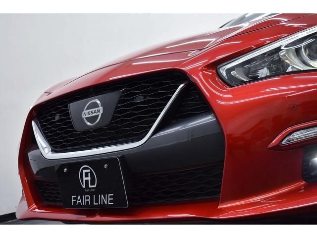 25627934_carP_l_5.jpg