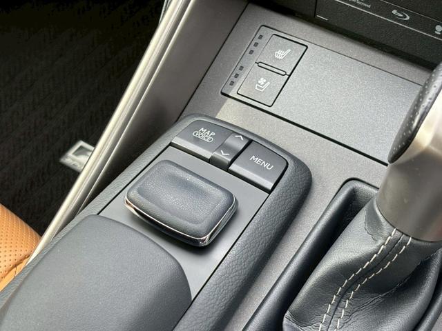 23457169_carP_l_6.jpg