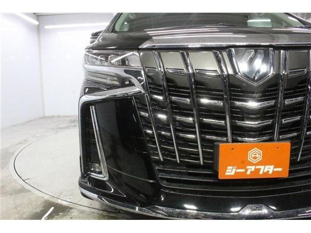 26483947_carP_l_5.jpg