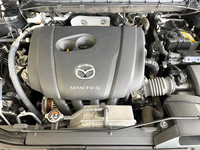 26334962_carP_l_20.jpg