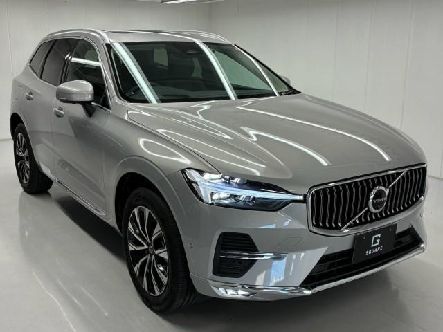 25369087_carP_l_19.jpg