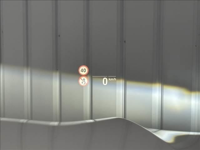 24741235_carP_l_5.jpg
