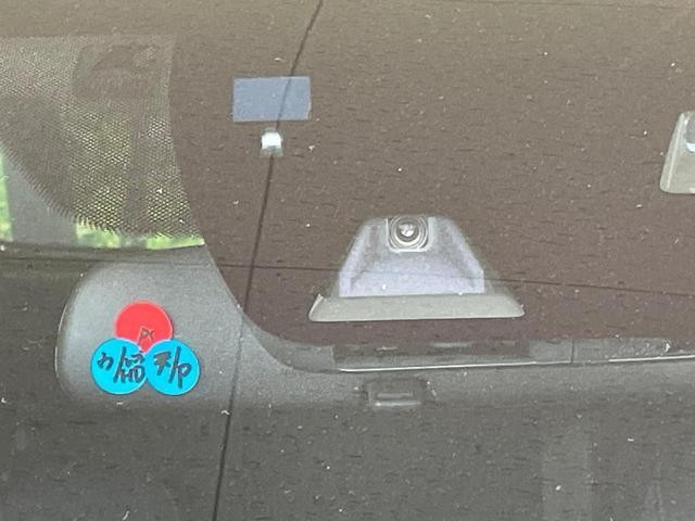 25633203_carP_l_13.jpg
