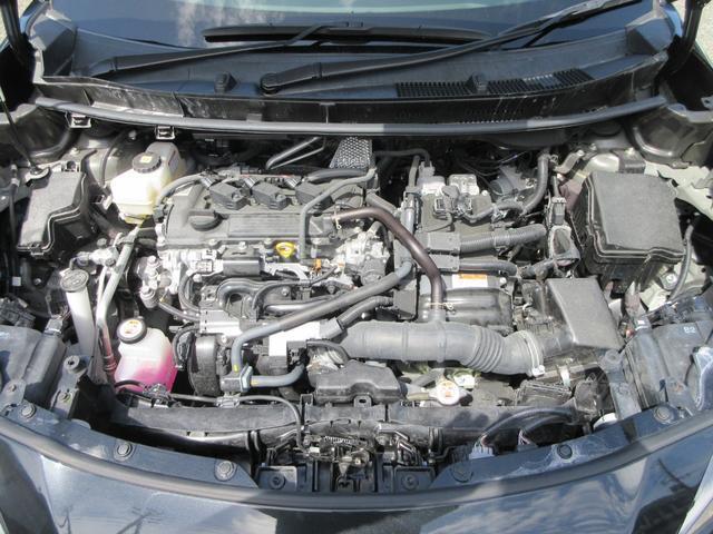 23458719_carP_l_12.jpg