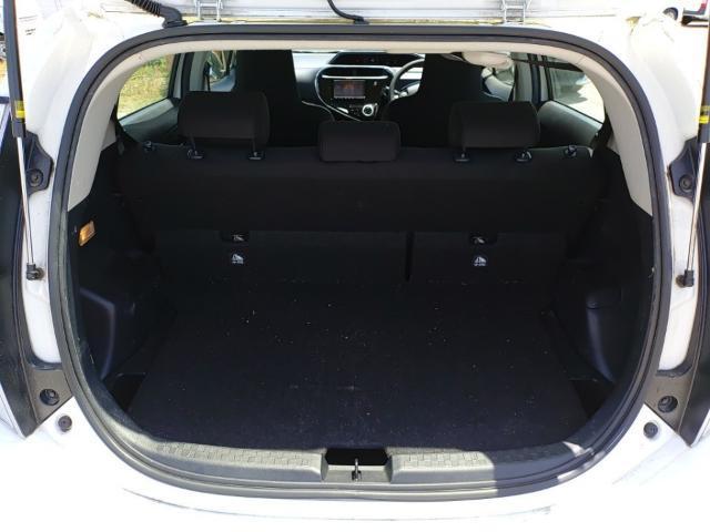 24253772_carP_l_17.jpg