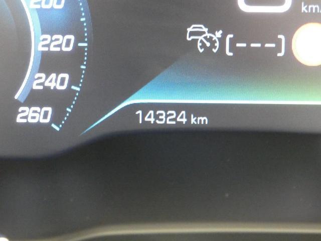 23458741_carP_l_10.jpg