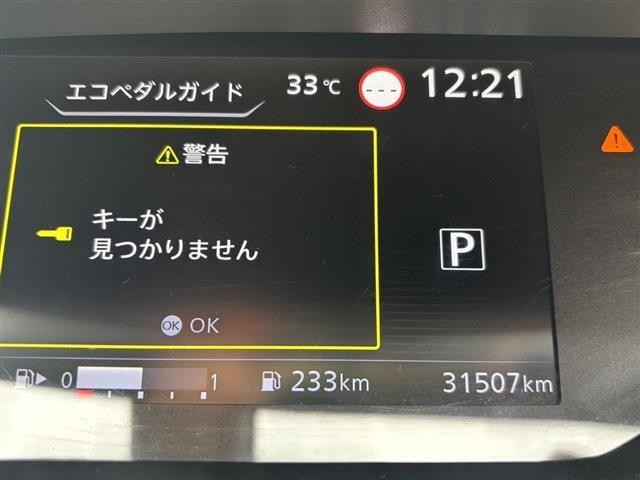 26236388_carP_l_15.jpg