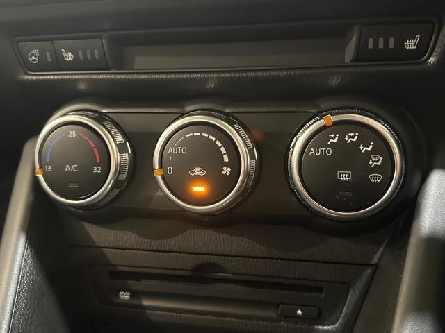 25627997_carP_l_13.jpg