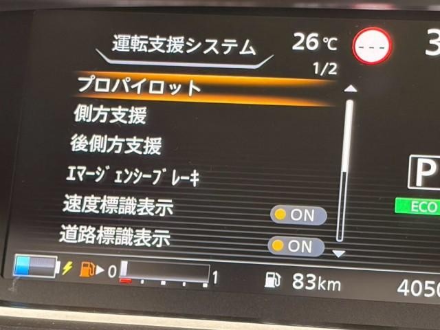 26887544_carP_l_11.jpg