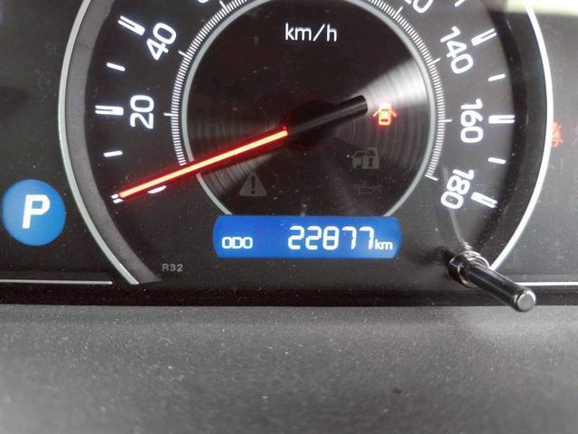 23458936_carP_l_12.jpg