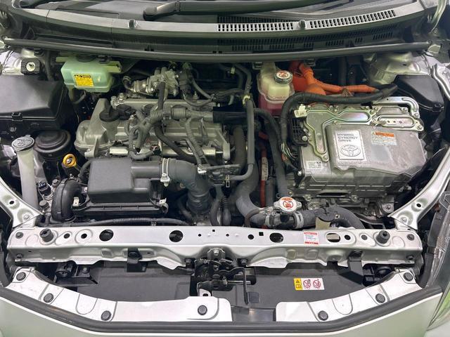 24441315_carP_l_16.jpg