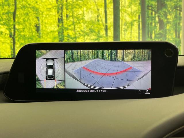 23416478_carP_l_4.jpg