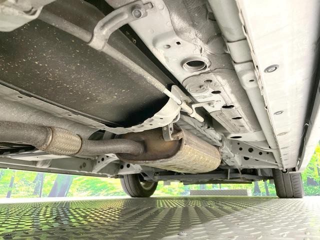 25384748_carP_l_18.jpg