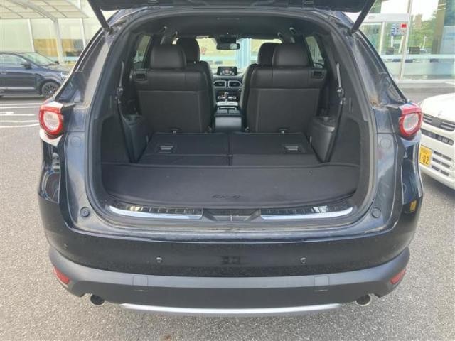 25667493_carP_l_17.jpg