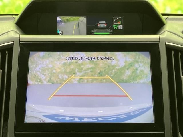 24933046_carP_l_7.jpg