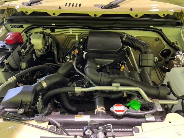 24932675_carP_l_16.jpg