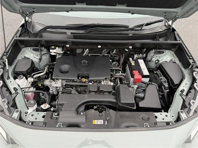 26572042_carP_l_18.jpg