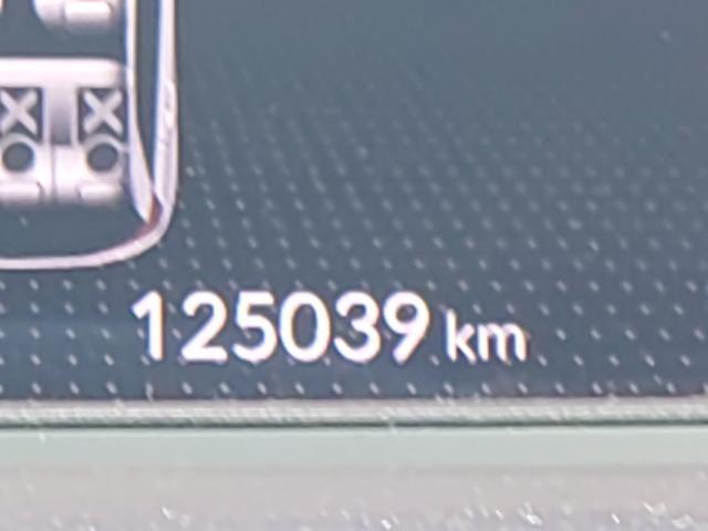 24253795_carP_l_2.jpg