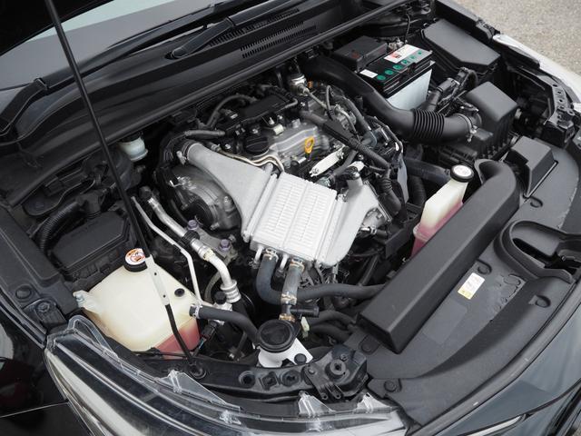 23431202_carP_l_20.jpg