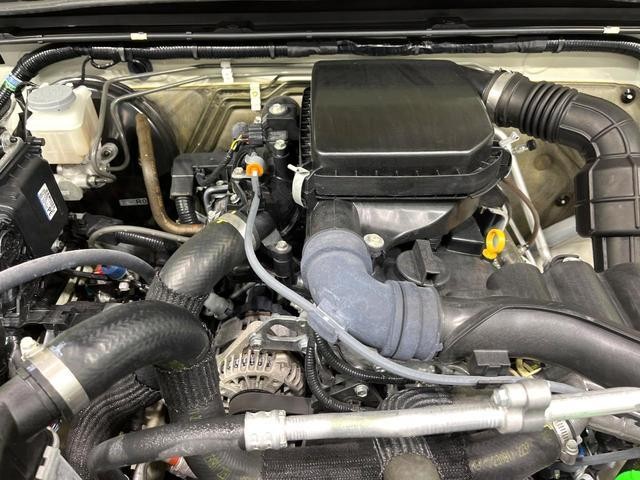 26251881_carP_l_12.jpg