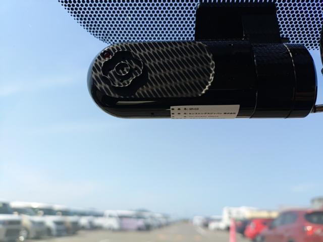 24253799_carP_l_12.jpg