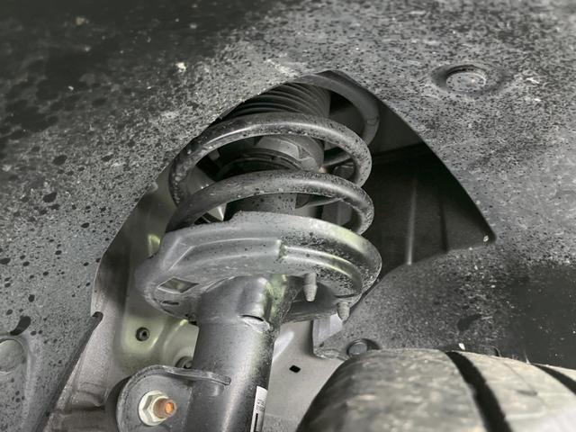 23437557_carP_l_20.jpg