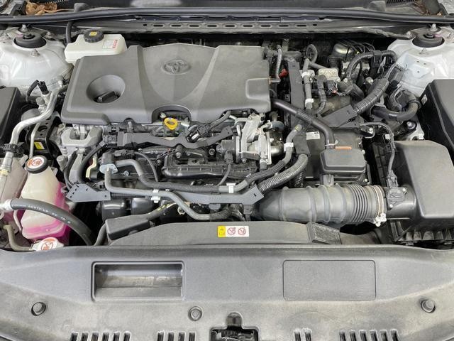25200197_carP_l_16.jpg