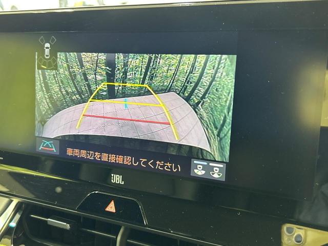 23675607_carP_l_10.jpg