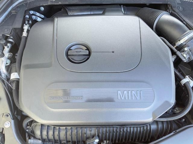 25774288_carP_l_16.jpg
