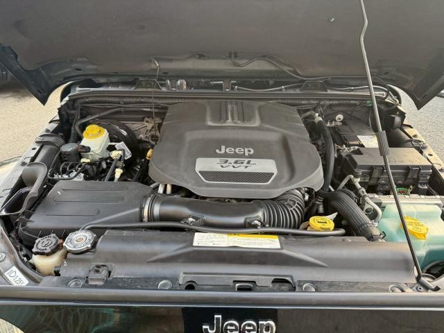 26236414_carP_l_17.jpg